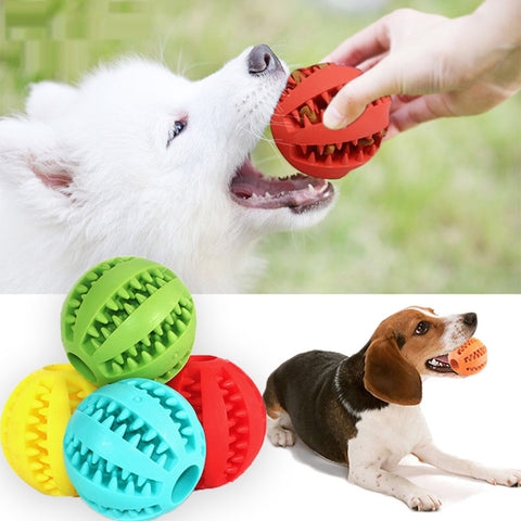 Dog Toy Interactive Rubber Balls