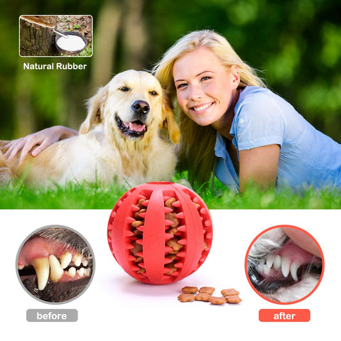 Dog Toy Interactive Rubber Balls