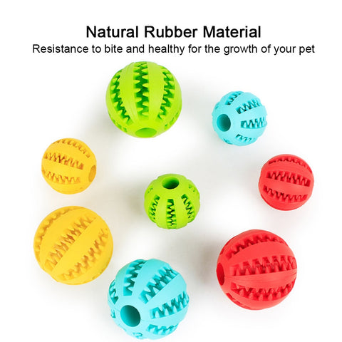 Dog Toy Interactive Rubber Balls