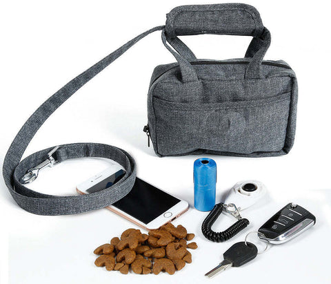 Purse Dog Leash, Accessory Holder and Waste Bag Dispenser