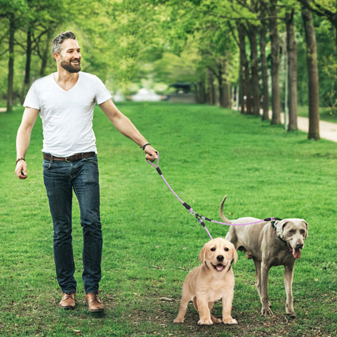 Swivel Coupler Reflective Double Dog Leash - Padded Handle