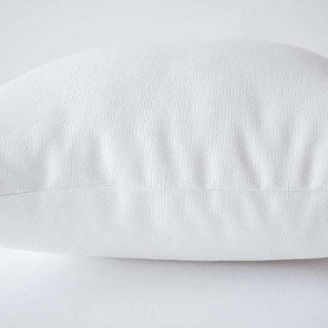Feathers  Throw Pillow Cover