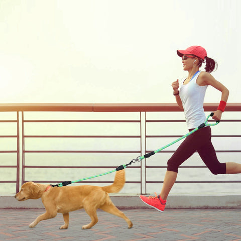 Swivel Coupler Reflective Double Dog Leash - Padded Handle