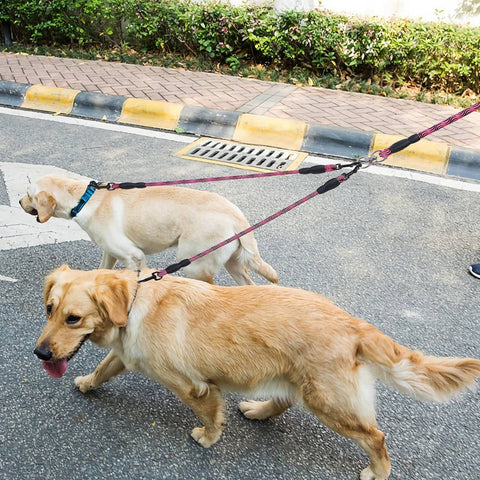 Swivel Coupler Reflective Double Dog Leash - Padded Handle