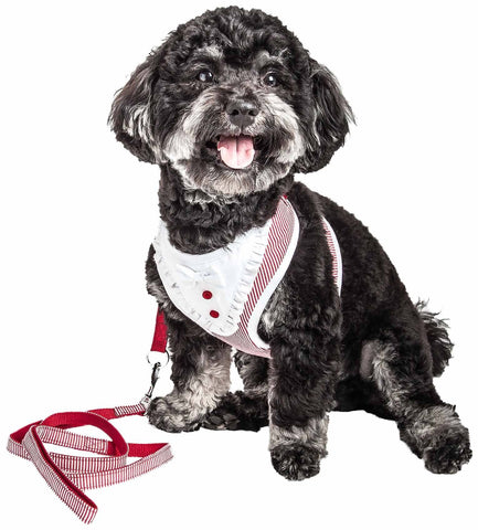 2-In-1 Mesh Reversed Adjustable Dog Harness-Leash W/ Fashion Bowtie