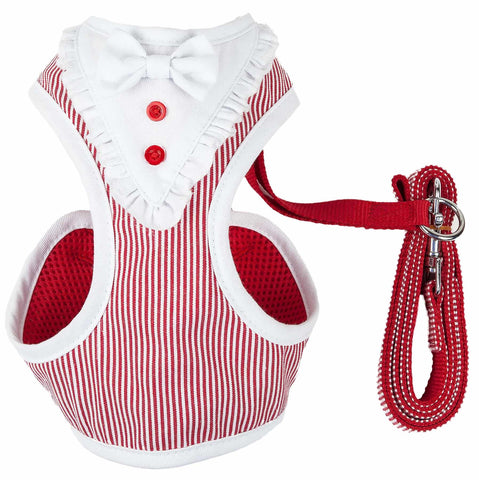 2-In-1 Mesh Reversed Adjustable Dog Harness-Leash W/ Fashion Bowtie