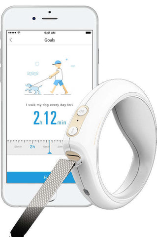 Bluetooth Distance Activity Monitoring  Smart Dog Leash.