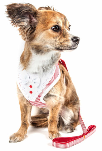 2-In-1 Mesh Reversed Adjustable Dog Harness-Leash W/ Fashion Bowtie