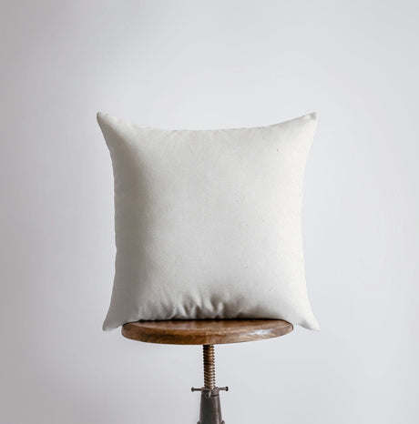Feathers  Throw Pillow Cover