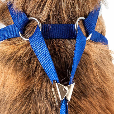 2-In-1 Mesh Reversed Adjustable Dog Harness-Leash W/ Fashion Bowtie