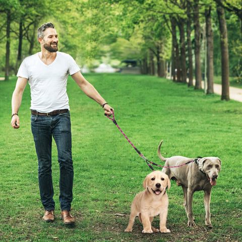 Swivel Coupler Reflective Double Dog Leash - Padded Handle